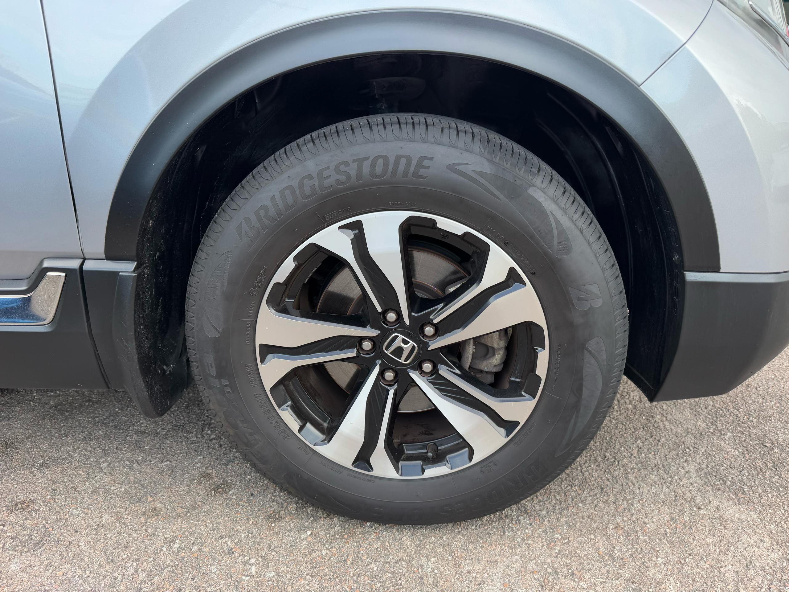 WhatsApp Image 2025-03-17 at 5.20.52 PM