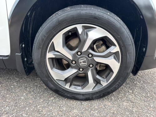 WhatsApp Image 2026-01-01 at 2.03.41 PM